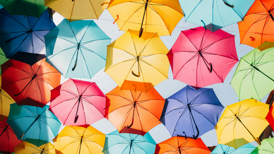The Evolution of Umbrellas in Japan: Tradition, Innovation, and Our Top Pick ☂️✨